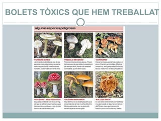BOLETS TÒXICS QUE HEM TREBALLAT
 