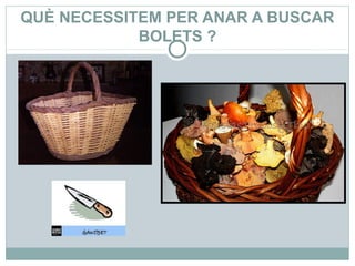 QUÈ NECESSITEM PER ANAR A BUSCAR
            BOLETS ?
 