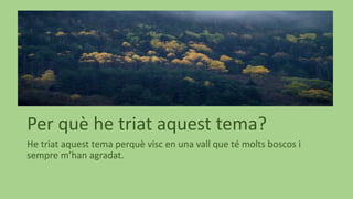 Per què he triat aquest tema?
He triat aquest tema perquè visc en una vall que té molts boscos i
sempre m’han agradat.
 
