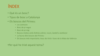 ÍNDEX
• Què és un bosc?
• Tipus de bosc a Catalunya
• Els boscos del Pirineu:
• Les avetoses
• Bosc de pi negre
• Bosc de pi roig
• Boscos mixtos amb d’altres arbres: roure, bedoll o avellaner
• La fauna dels boscos del Pirineu
• Els boscos més importants: bosc de Virós i bosc de la Mata de València
•Per què he triat aquest tema?
 
