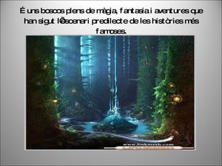 Matèries que conformen el currículum disciplinar Llengua catalana i literatura Llengua castellana i literatura Llengua estrangera Matemàtiques Ciències de la naturalesa Ciències socials Educació visual i plàstica Tecnologies Música Educació per a la ciutadania Matèries optatives Educació física Religió/Alternativa 