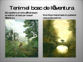 Llengua catalana i literatura Llengua castellana i literatura Llengua estrangera Matemàtiques Educació física CENTRES D’INTERÉS GLOBALITZANT CONTINGUTS Principi d’activitat de l’alumne: l’alumne ha de trobar resposta, donar una explicació, argumentar una posició, satisfer un encàrrec (justament per això cal aprendre) Matèries del nostre currículum globalitzat Temes clau currículum matèries Transversalitats temàtiques  (entre les matèries) 