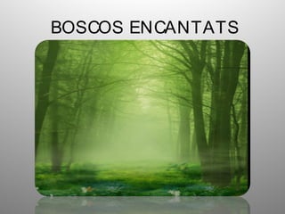 BOSCOS ENCANTATS 
 
