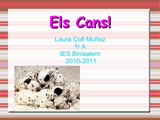 Els Cans! Laura Coll Muñoz  1r A  IES Binisalem  2010-2011  