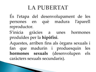 És l’etapa del desenvolupament de les
persones en què madura l’aparell
reproductor.
S’inicia gràcies a unes hormones
produïdes per la hipòfisi.
Aquestes, arriben fins als òrgans sexuals i
fan que madurin i produesquin les
hormones sexuals (desenvolupen els
caràcters sexuals secundaris).
 