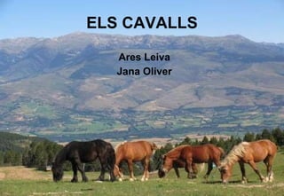 ELS CAVALLS Ares Leiva Jana Oliver 
