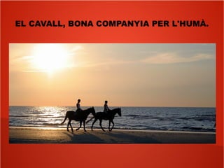 EL CAVALL, BONA COMPANYIA PER L'HUMÀ.
 