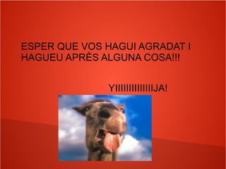 ESPER QUE VOS HAGUI AGRADAT I
HAGUEU APRÈS ALGUNA COSA!!!
YIIIIIIIIIIIIIIJA!
 