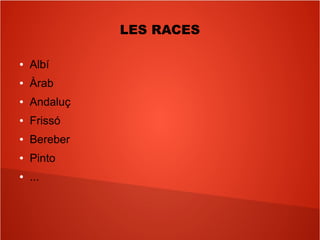 LES RACES
● Albí
● Àrab
● Andaluç
● Frissó
● Bereber
● Pinto
● ...
 