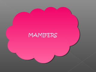 MAMIFERSMAMIFERS
 