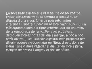 La seva base alimentaria és o hauria de ser l'herba,
fresca directament de la pastura o fenc si no es
disposa d'una altra. L'herba posseeix moltes
vitamines i minerals, però no té molt valor nutritiu, i a
més aquest depèn del tipus d'herba, del sòl on creix,
de la temporada de l'any...Per això els cavalls
dediquen moltes hores del dia a menjar, a poc a poc
però sovint. El seu sistema digestiu esta preparat per
digerir aquest alt contingut en fibra, si se'ls dóna de
menjar una o dues vegades al dia, tenen molta gana,
mengen de pressa i sorgeix el risc de còlics.
 