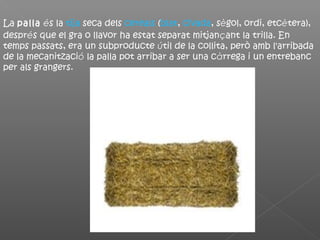 La palla és la tija seca dels cereals (blat, civada, sègol, ordi, etcètera),
després que el gra o llavor ha estat separat mitjançant la trilla. En
temps passats, era un subproducte útil de la collita, però amb l'arribada
de la mecanització la palla pot arribar a ser una càrrega i un entrebanc
per als grangers.
 