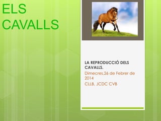 ELS 
CAVALLS 
LA REPRODUCCIÓ DELS 
CAVALLS. 
Dimecres,26 de Febrer de 
2014 
CLLB, JCDC CVB 
 