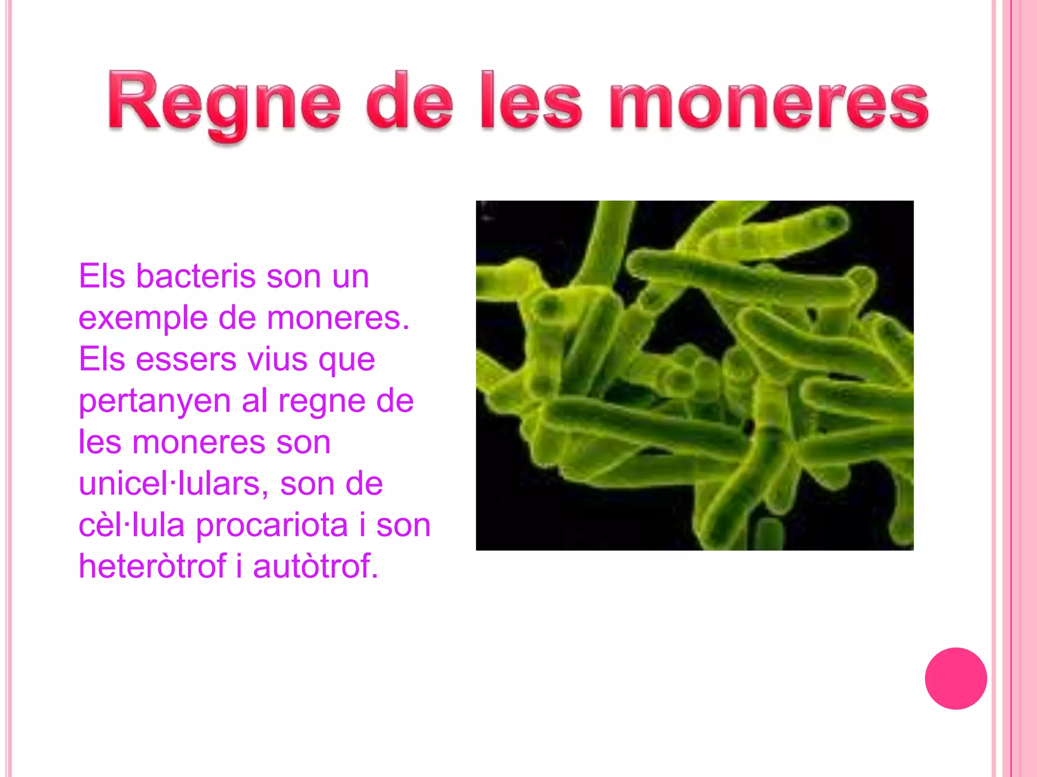 Els cinc regnes | PPTX