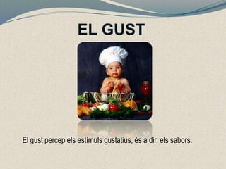 EL GUST
El gust percep els estímuls gustatius, és a dir, els sabors.
 