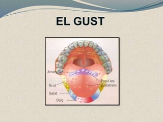 EL GUST
 