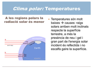 Clima polar: Vegetació

 Taigà o Bosc Boreal
 