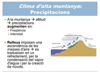 Clima d’alta muntanya:
      Vegetació
 