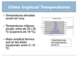 Clima tropical: Vegetació
 Vegetació canvia a mida que ens allunyem de l’equador.
   A les zones de latitud més baixa: b...