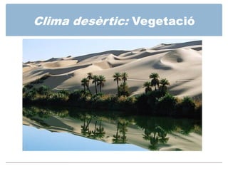Clima desèrtic: Vegetació
 
