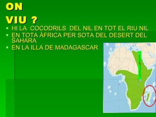 ON VIU ? HI LA  COCODRILS  DEL NIL EN TOT EL RIU NIL  EN TOTA ÀFRICA PER SOTA DEL DESERT DEL SAHARA EN LA ILLA DE MADAGASCAR  