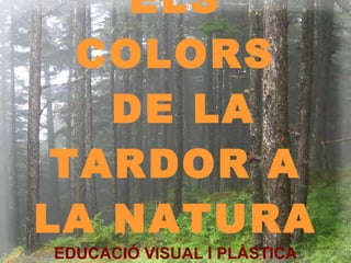 ELS COLORS  DE LA TARDOR A LA NATURA EDUCACIÓ VISUAL I PLÀSTICA CURS 2009-2010 CICLE INICIAL 