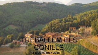 TREBALLEM ELS
CONILLS
P3-B CURS 2017-2018
 