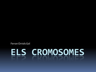 Ferran Orriols Gol



ELS CROMOSOMES
 