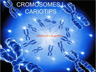 CROMOSOMES I
CARIOTIPS
Introducció a la genètica
 