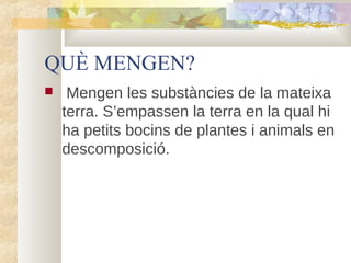 QUÈ MENGEN?


  

 Mengen les substàncies de la mateixa 
terra. S’empassen la terra en la qual hi 
ha petits bocins de plantes i animals en 
descomposició. 

 