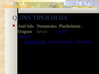 QUINS TIPUS HI HA


Anèl·lids , Nematodes, Platihelmint ,
Erugues o larves . Els cucs 
marins inclouen 
els quetògnats, hemicordats i forònids.

 
