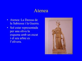 Atenea Atenea: La Deessa de la Sabiessa i la Guerra. Sol estar representada per una oliva la esquena amb un escut i el seu arbre es l’olivera. 