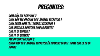 Com són els ronyons ?
QUIN són els organs de l’ aparell excretor ?
Quin altre nom te l’ aparell excretor ?
qUE UNEIX ELS RONYONS AMB LA BUFETA?
que fa la bufeta ?
QUE FA LA URETRA?
per on surt la suor ?
quina par de l’ aparell excretor és diferent la de l’ home que la de la
dona?
PREGUNTES:
 