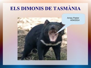 ELS DIMONIS DE TASMÀNIA
Arnau Pastor
4/04/2014
 