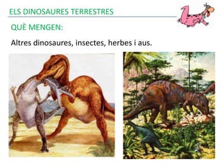 ELS DINOSAURES TERRESTRES
QUÈ MENGEN:
Altres dinosaures, insectes, herbes i aus.
 