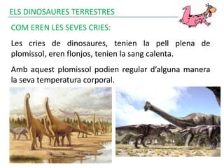 ELS DINOSAURES TERRESTRES
COM EREN LES SEVES CRIES:
Les cries de dinosaures, tenien la pell plena de
plomissol, eren flonjos, tenien la sang calenta.
Amb aquest plomissol podien regular d’alguna manera
la seva temperatura corporal.
 