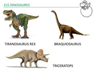 ELS DINOSAURES
TIRANOSAURUS REX
TRICERATOPS
BRAQUIOSAURUS
 