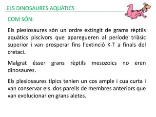 ELS DINOSAURES AQUÀTICS
COM SÓN:
Els plesiosaures són un ordre extingit de grams rèptils
aquàtics piscívors que aparegueren al període triàsic
superior i van prosperar fins l'extinció K-T a finals del
cretaci.
Malgrat ésser grans rèptils mesozoics no eren
dinosaures.
Els plesiosaures típics tenien un cos ample i cua curta i
van conservar els dos parells de membres anteriors que
van evolucionar en grans aletes.
 
