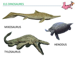 ELS DINOSAURES
MIXOSAURUS
TYLOSAURUS
HENODUS
 