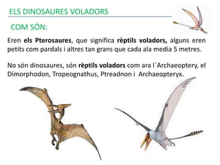 ELS DINOSAURES VOLADORS
COM SÓN:
Eren els Pterosaures, que significa rèptils voladors, alguns eren
petits com pardals i altres tan grans que cada ala media 5 metres.
No són dinosaures, són rèptils voladors com ara l´Archaeoptery, el
Dimorphodon, Tropeognathus, Ptreadnon i Archaeopteryx.
 