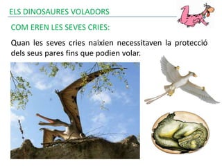 ELS DINOSAURES VOLADORS
COM EREN LES SEVES CRIES:
Quan les seves cries naixien necessitaven la protecció
dels seus pares fins que podien volar.
 