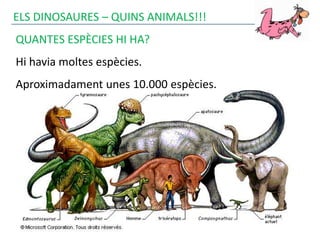 ELS DINOSAURES – QUINS ANIMALS!!!
QUANTES ESPÈCIES HI HA?
Hi havia moltes espècies.
Aproximadament unes 10.000 espècies.
 