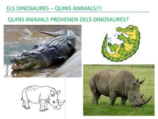 ELS DINOSAURES – QUINS ANIMALS!!!
QUINS ANIMALS PROVENEN DELS DINOSAURES?
 