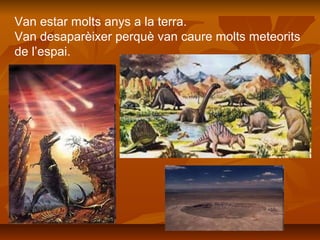 Van estar molts anys a la terra.
Van desaparèixer perquè van caure molts meteorits
de l’espai.
 