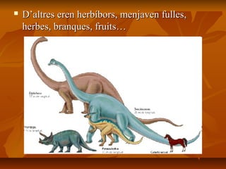  D’altres eren herbíbors, menjaven fulles,D’altres eren herbíbors, menjaven fulles,
herbes, branques, fruits…herbes, branques, fruits…
 