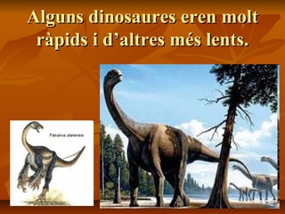Alguns dinosaures eren moltAlguns dinosaures eren molt
ràpids i d’altres més lents.ràpids i d’altres més lents.
 