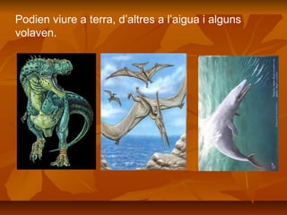 Podien viure a terra, d’altres a l’aigua i alguns
volaven.
 