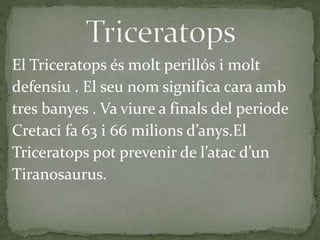 El Triceratops és molt perillós i molt
defensiu . El seu nom significa cara amb
tres banyes . Va viure a finals del periode
Cretaci fa 63 i 66 milions d’anys.El
Triceratops pot prevenir de l’atac d’un
Tiranosaurus.
 