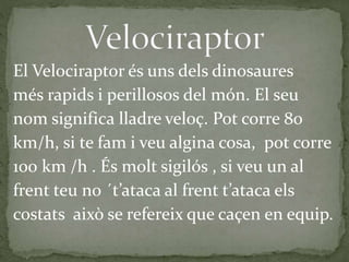 El Velociraptor és uns dels dinosaures
més rapids i perillosos del món. El seu
nom significa lladre veloç. Pot corre 80
km/h, si te fam i veu algina cosa, pot corre
100 km /h . És molt sigilós , si veu un al
frent teu no ´t’ataca al frent t’ataca els
costats això se refereix que caçen en equip.
 