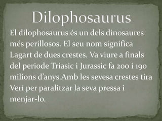 El dilophosaurus és un dels dinosaures
més perillosos. El seu nom significa
Lagart de dues crestes. Va viure a finals
del periode Triasic i Jurassic fa 200 i 190
milions d’anys.Amb les sevesa crestes tira
Verí per paralitzar la seva pressa i
menjar-lo.
 